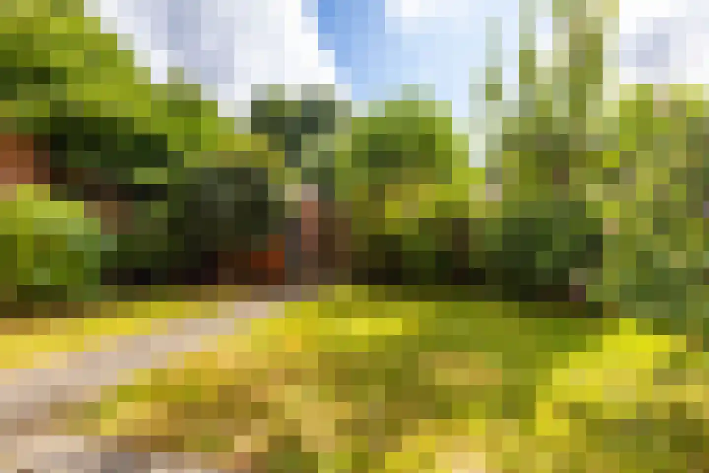 Oostersingel 134 Groningen thumbnail 19