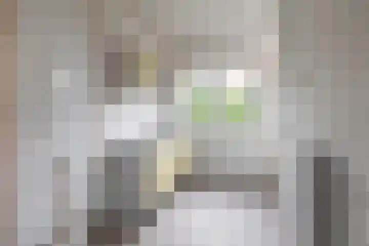 Oostersingel 142 a Groningen thumbnail 20