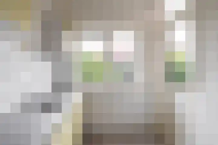 Oostersingel 142 a Groningen thumbnail 21