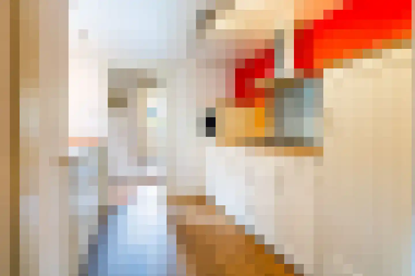 Oostersingel 17 Dokkum thumbnail 17