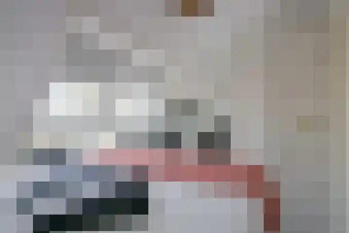 Oostersingel 18 Schagen thumbnail 35