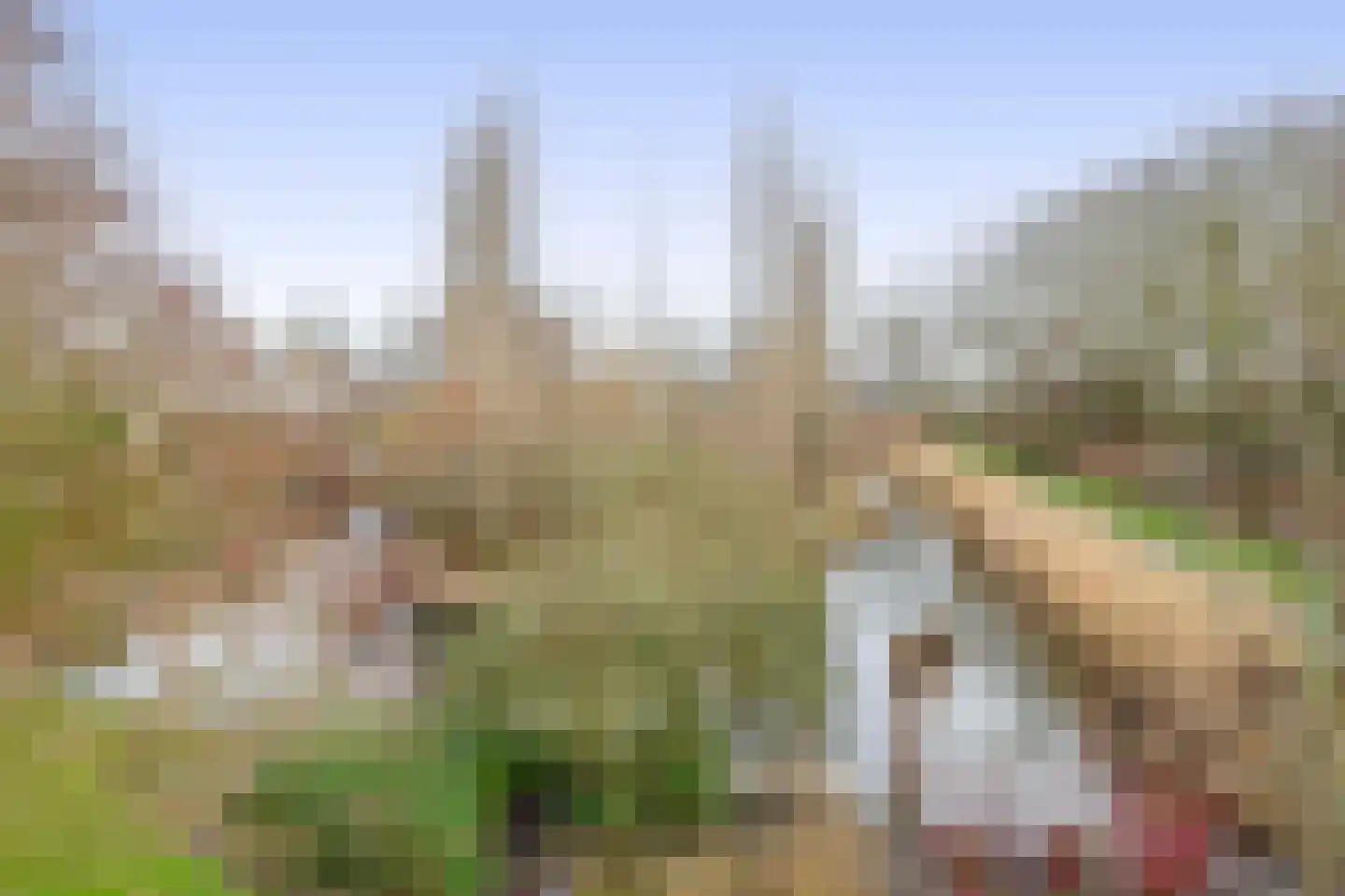 Oostersingel 19 B Schagen thumbnail 47