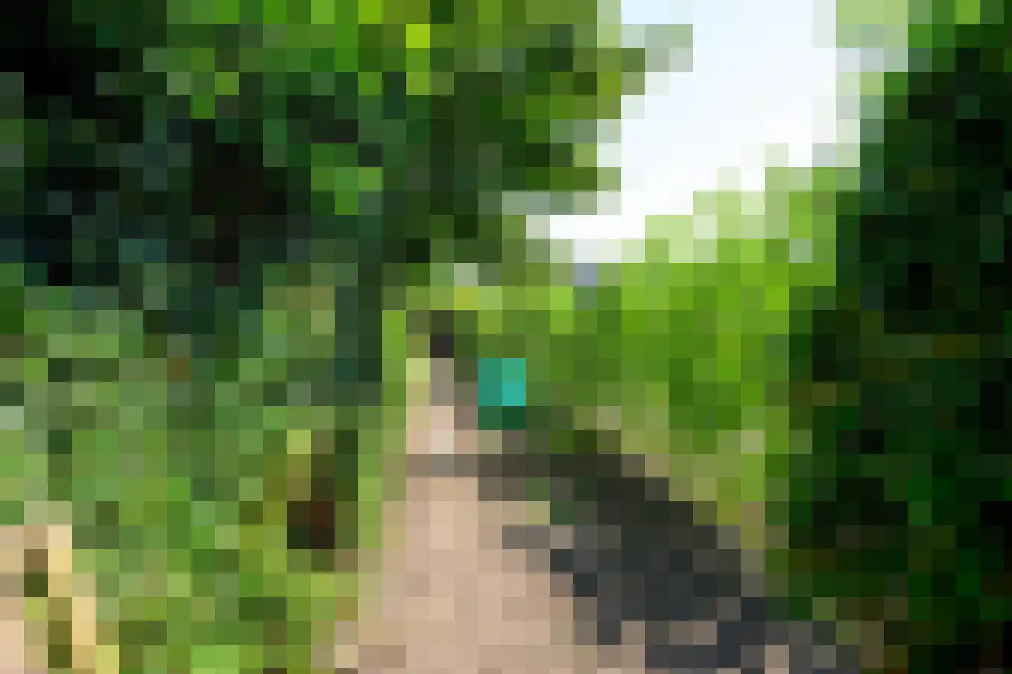 Oostersingel 21 C Medemblik thumbnail 33