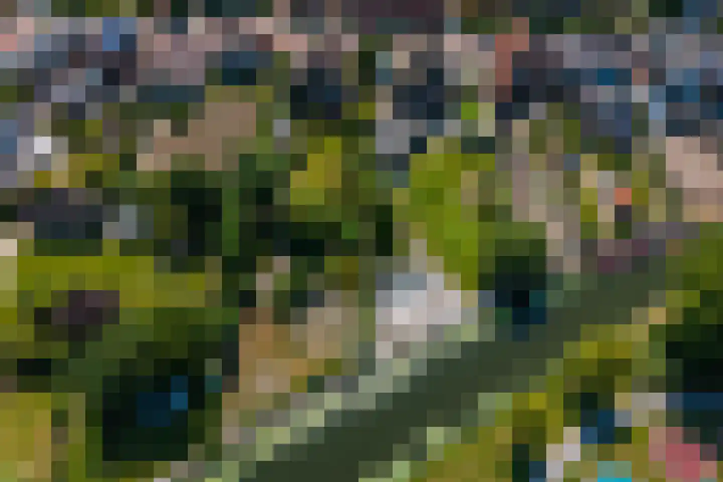 Oostersingel 21 C Medemblik thumbnail 48