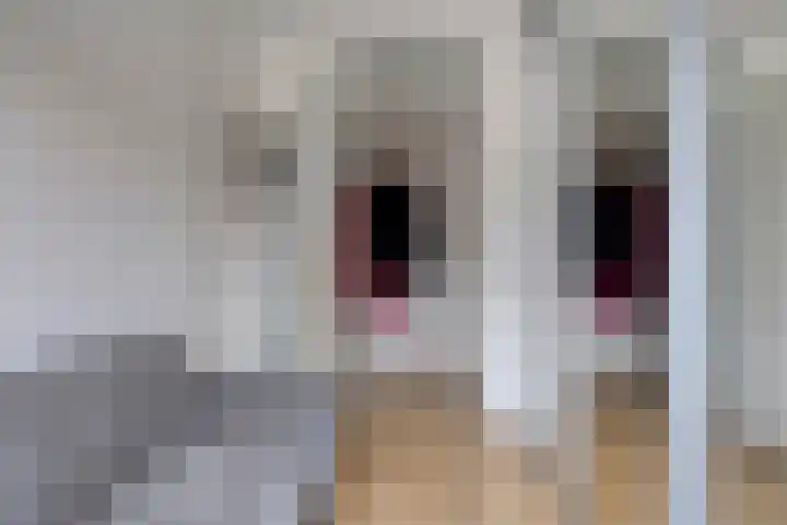 Oostersingel 23 26 Groningen thumbnail 29