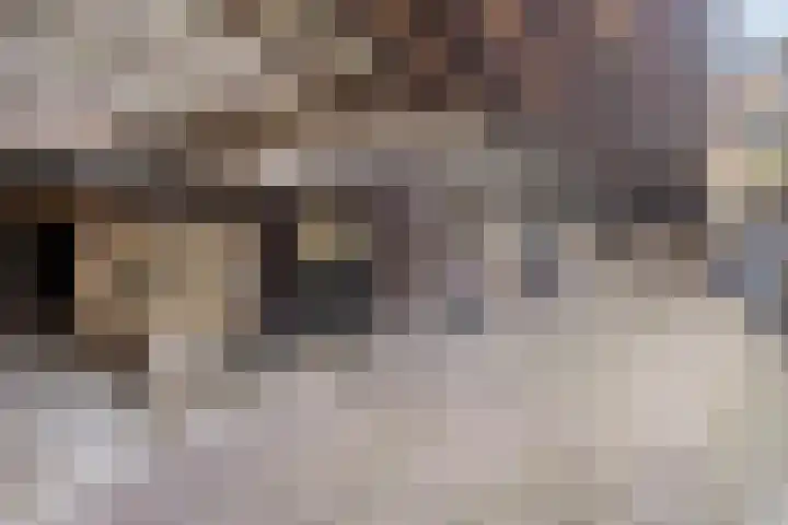 Oostersingel 23 26 Groningen thumbnail 35