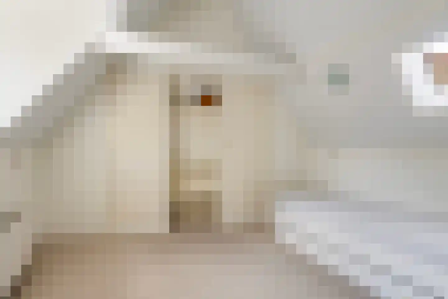 Oostersingel 23 Dokkum thumbnail 37