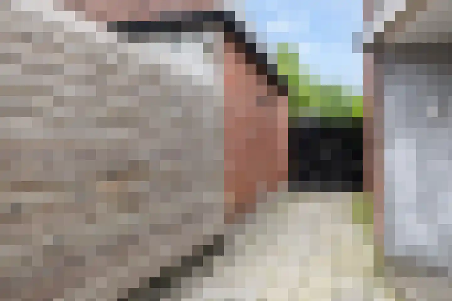 Oostersingel 23 Dokkum thumbnail 47
