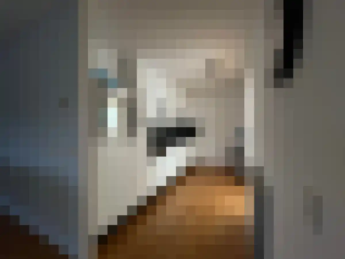 Oostersingel 23 Groningen thumbnail 6