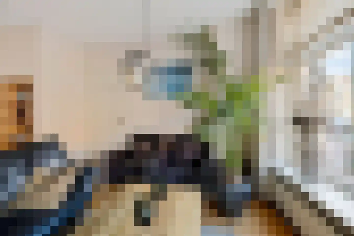 Oostersingel 30 Dokkum thumbnail 9
