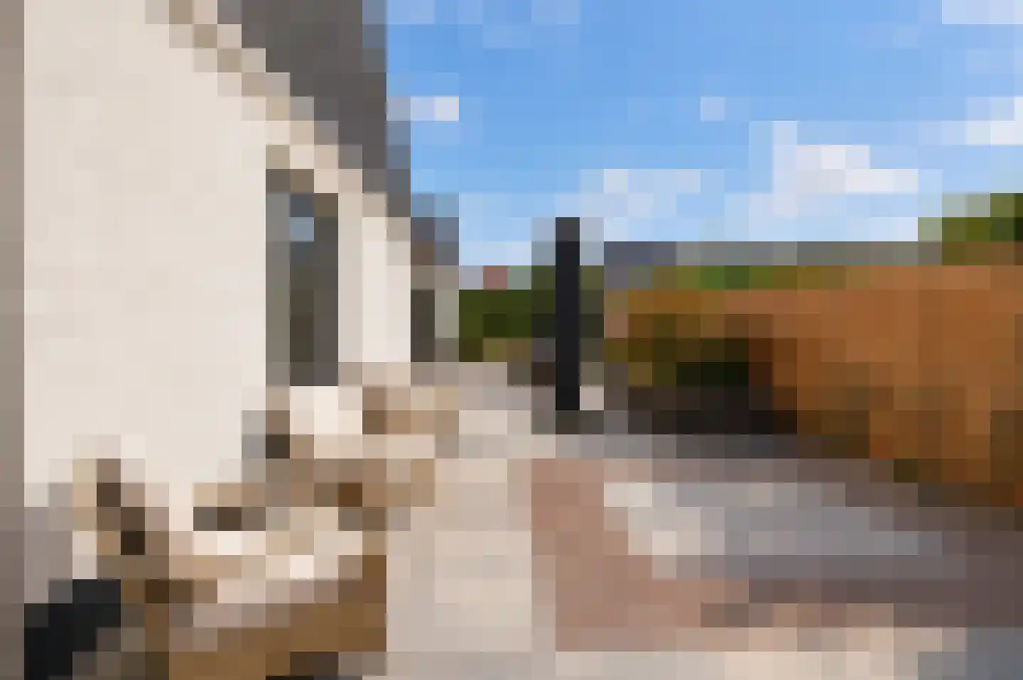 Oostersingel 37 a Culemborg thumbnail 56