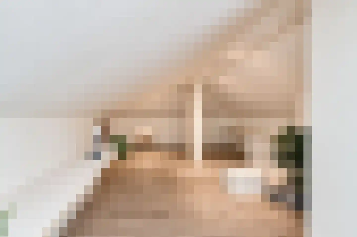 Oostersingel 37 a Culemborg thumbnail 60