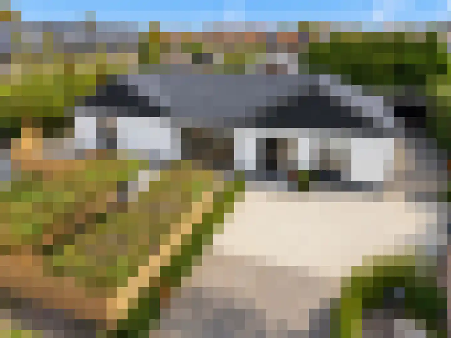 Oostersingel 37 a Culemborg thumbnail 65