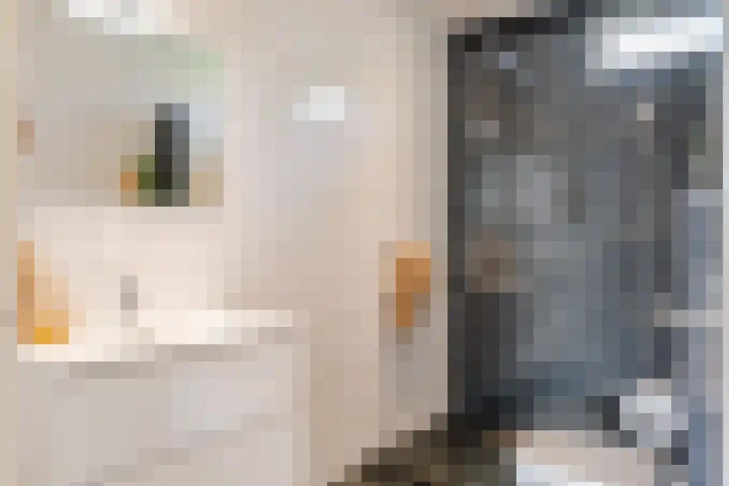 Oostersingel 37 Wedde thumbnail 31
