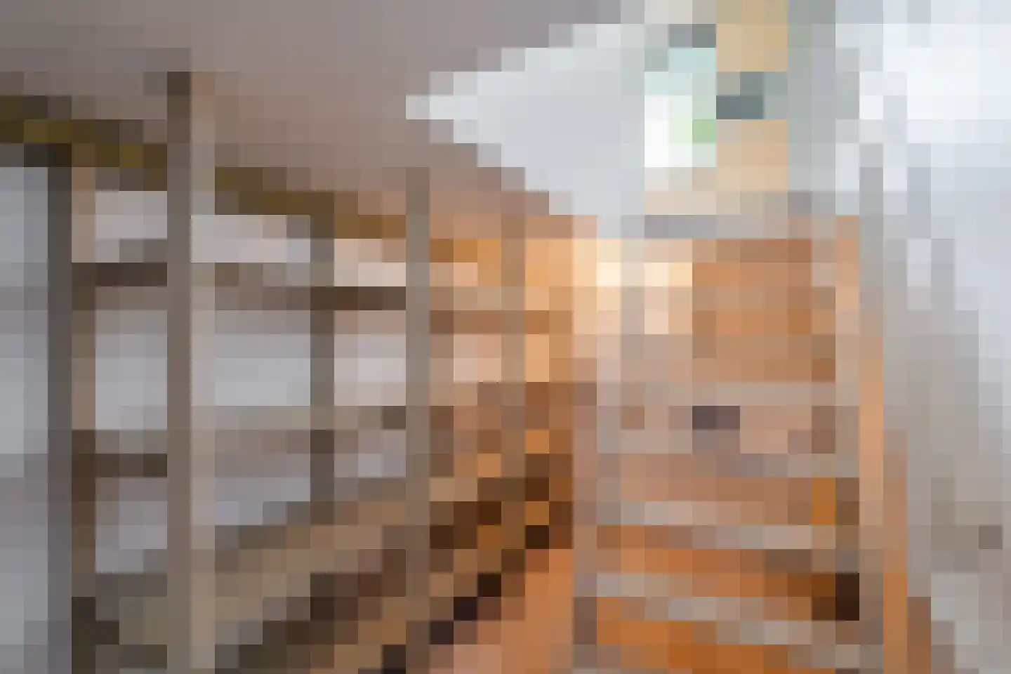 Oostersingel 37 Wedde thumbnail 39