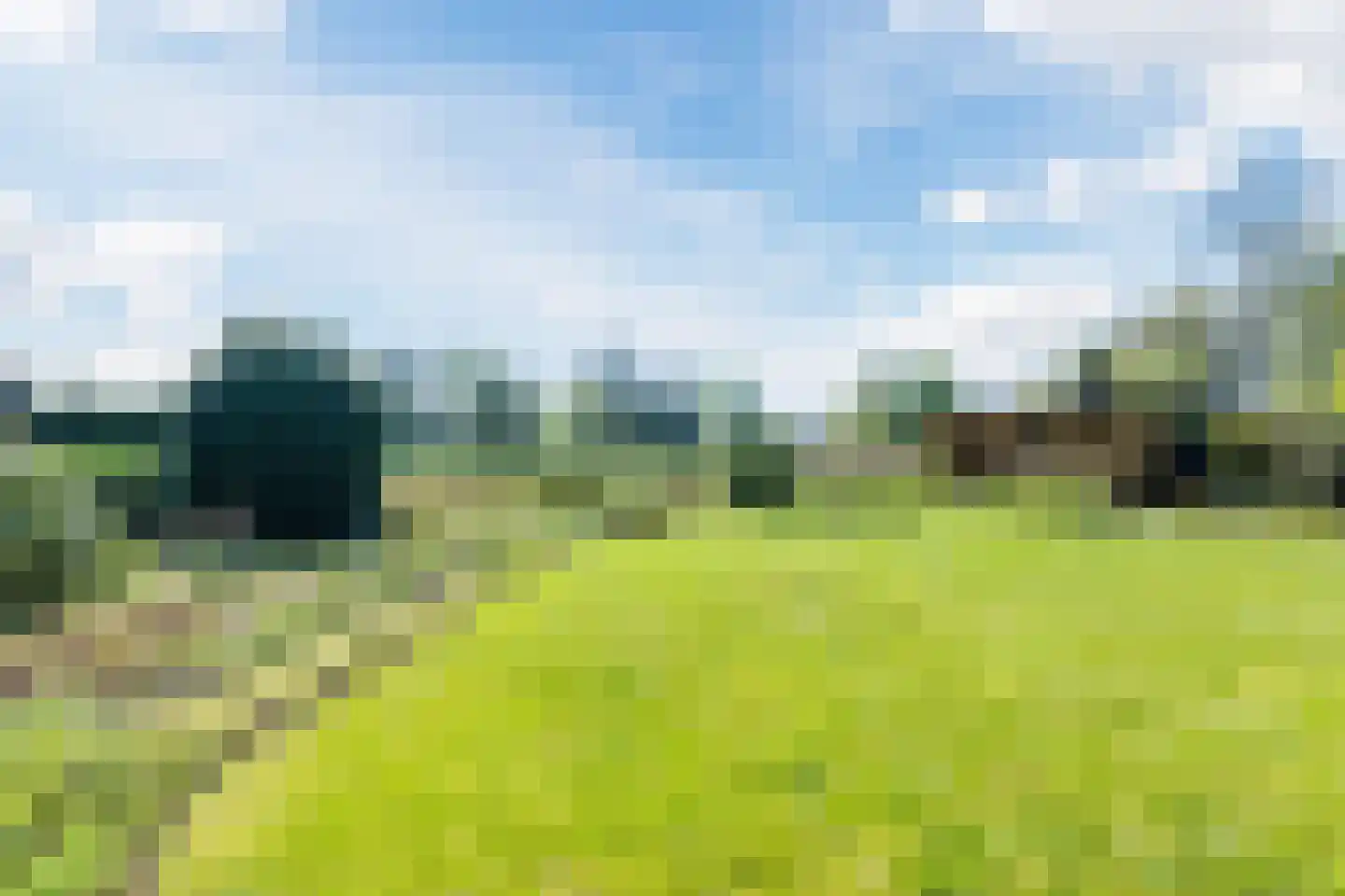 Oostersingel 37 Wedde thumbnail 45