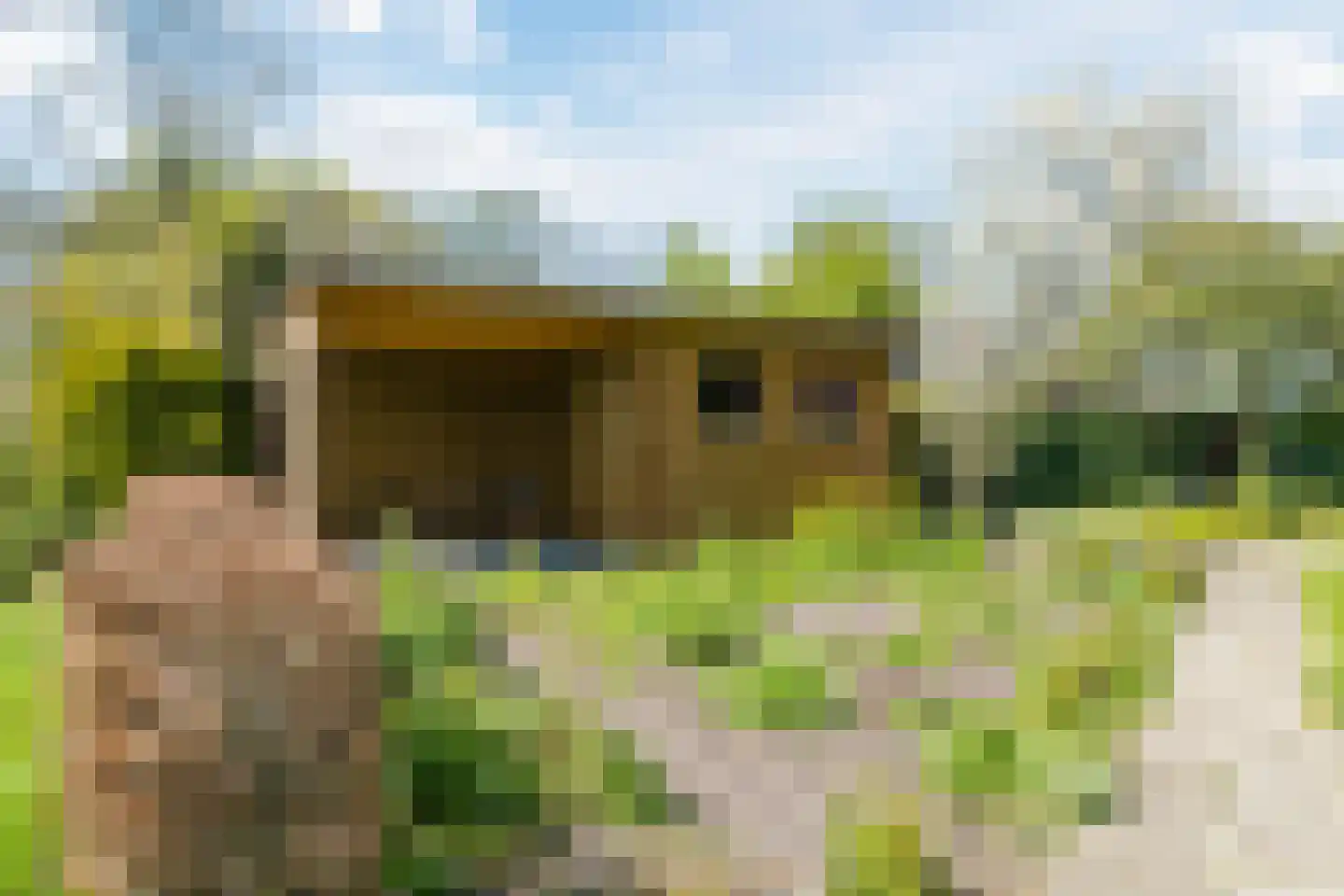 Oostersingel 37 Wedde thumbnail 46