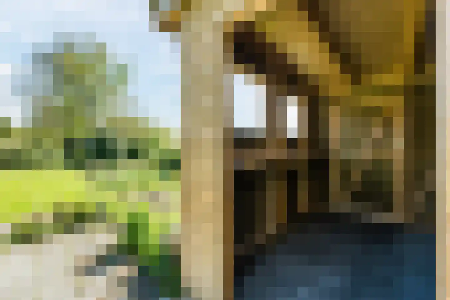 Oostersingel 37 Wedde thumbnail 49