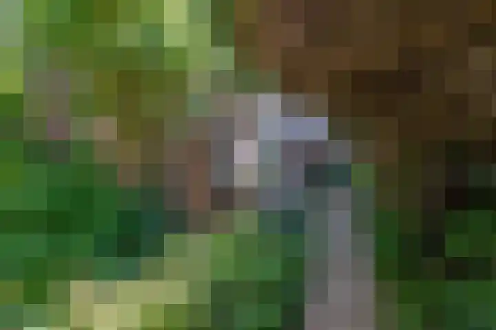 Oostersingel 4 Berkel en Rodenrijs thumbnail 10