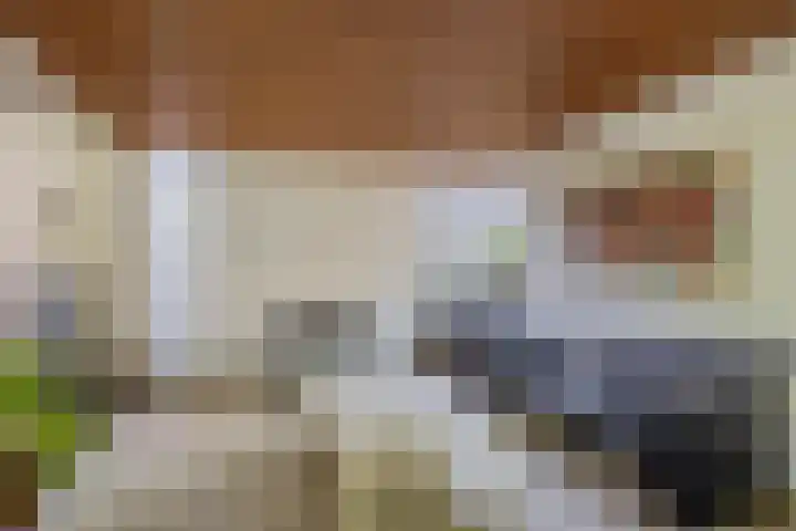Oostersingel 4 Berkel en Rodenrijs thumbnail 15