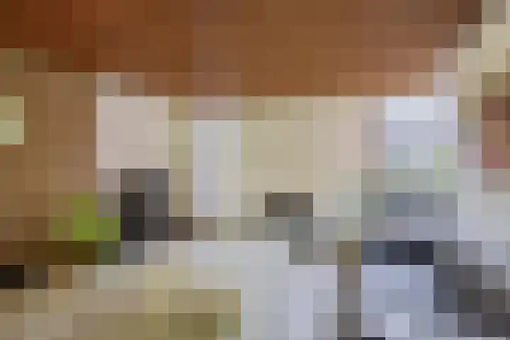 Oostersingel 4 Berkel en Rodenrijs thumbnail 16