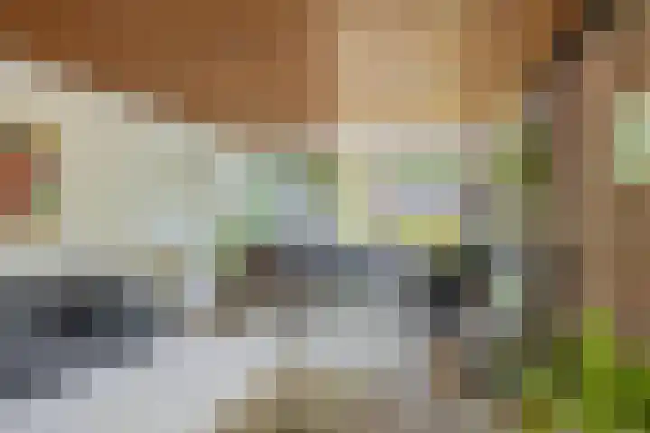 Oostersingel 4 Berkel en Rodenrijs thumbnail 17