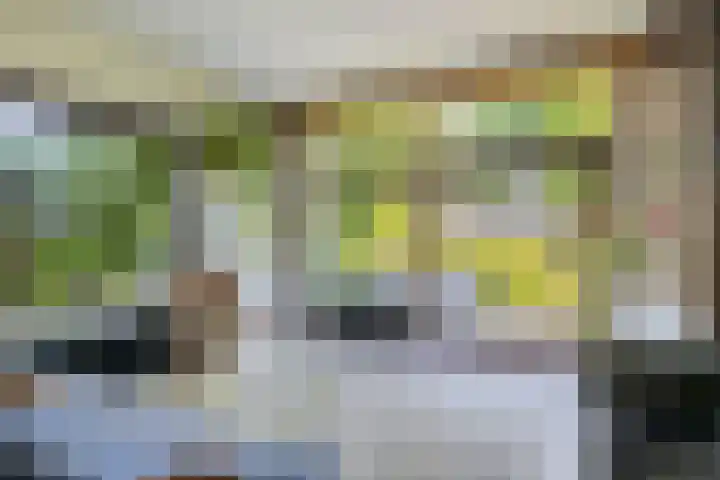 Oostersingel 4 Berkel en Rodenrijs thumbnail 19