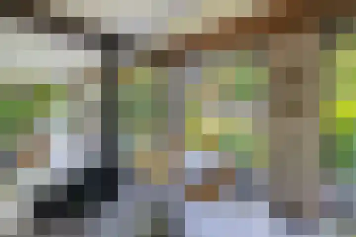 Oostersingel 4 Berkel en Rodenrijs thumbnail 22