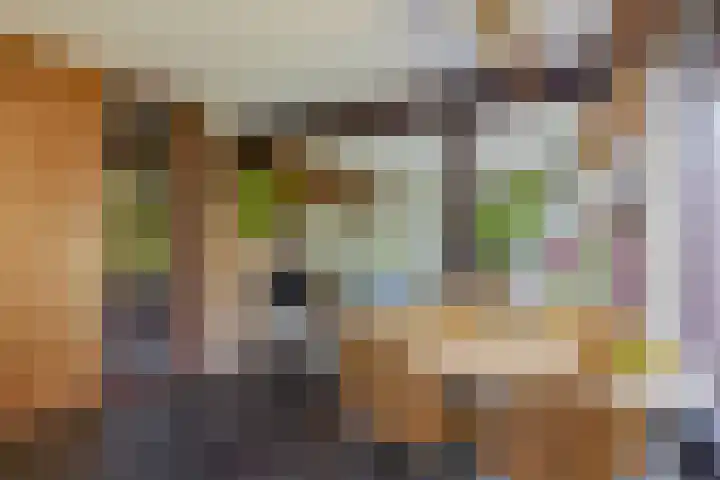 Oostersingel 4 Berkel en Rodenrijs thumbnail 23
