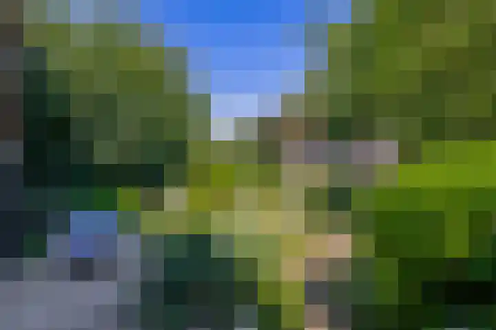 Oostersingel 4 Berkel en Rodenrijs thumbnail 30