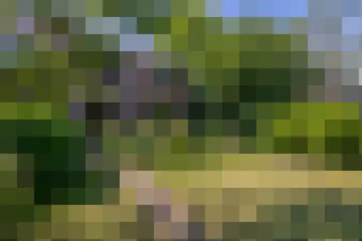 Oostersingel 4 Berkel en Rodenrijs thumbnail 31