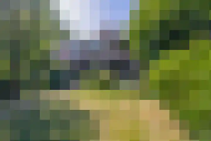 Oostersingel 4 Berkel en Rodenrijs thumbnail 32
