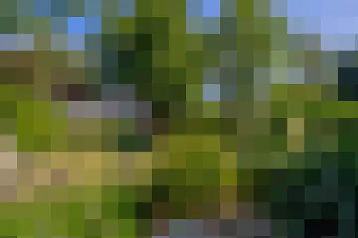 Oostersingel 4 Berkel en Rodenrijs thumbnail 4
