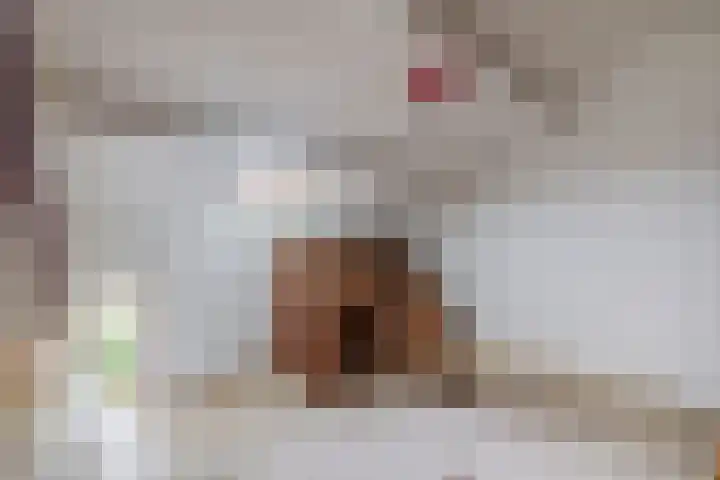 Oostersingel 4 Berkel en Rodenrijs thumbnail 49