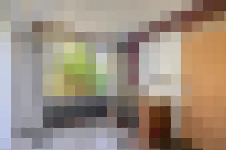 Oostersingel 4 Berkel en Rodenrijs thumbnail 50