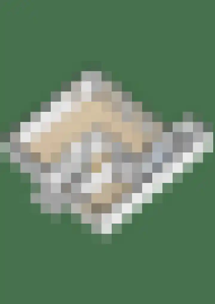 Oostersingel 4 Berkel en Rodenrijs thumbnail 68