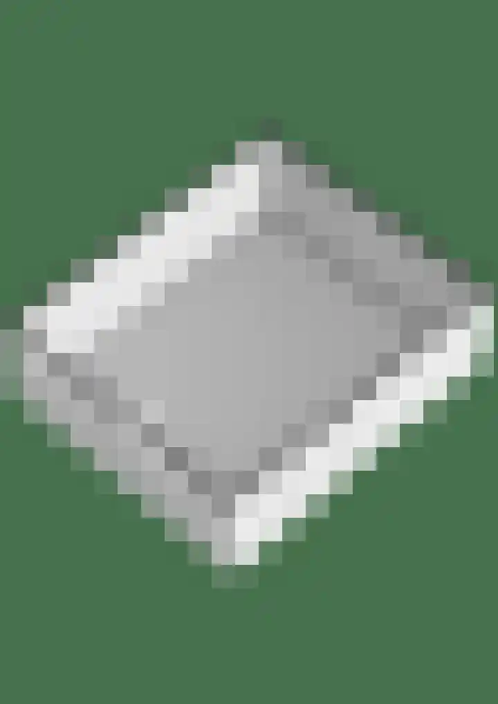 Oostersingel 4 Berkel en Rodenrijs thumbnail 72