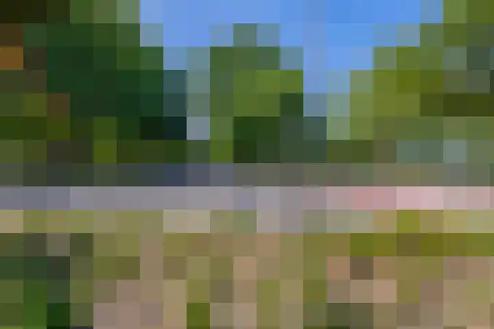 Oostersingel 4 Berkel en Rodenrijs thumbnail 8
