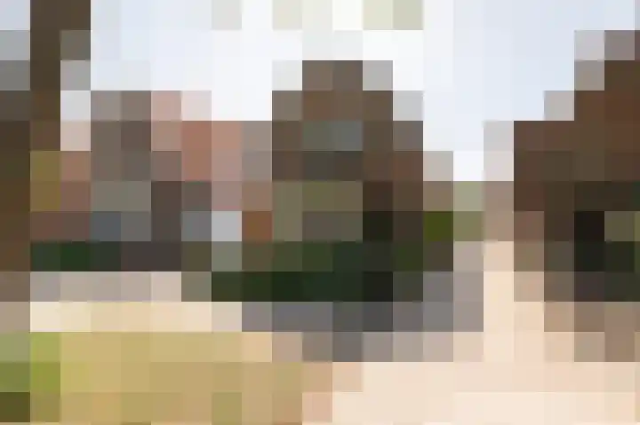 Oostersingel 4 Culemborg thumbnail 38