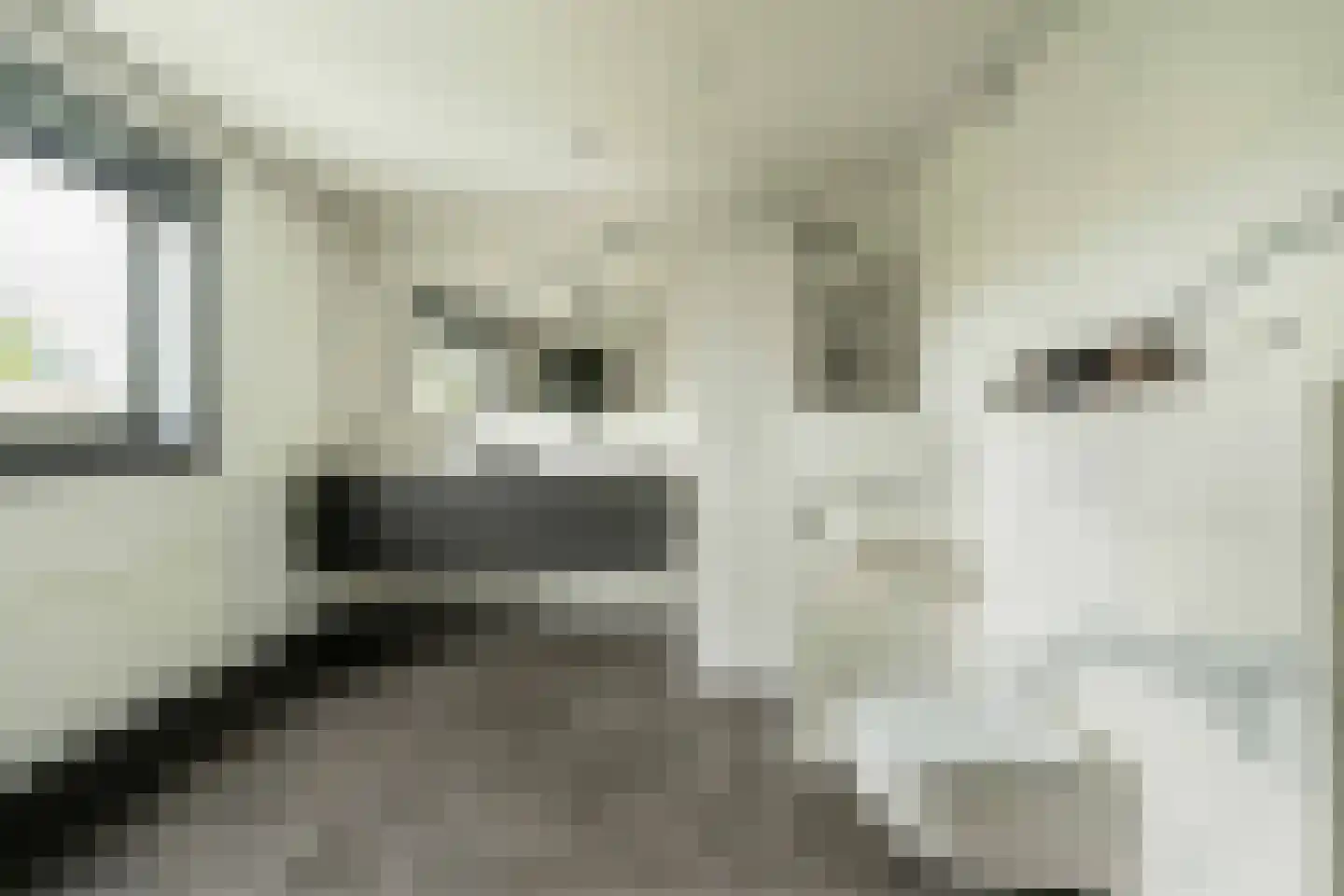 Oostersingel 4 Heiloo thumbnail 37