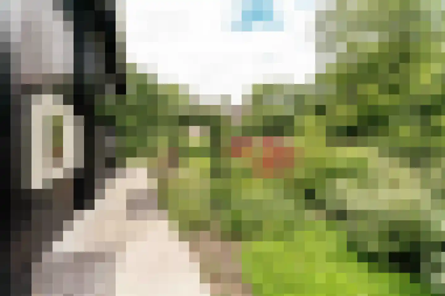 Oostersingel 4 Heiloo thumbnail 45