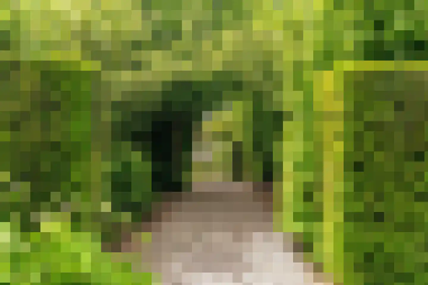 Oostersingel 4 Heiloo thumbnail 47