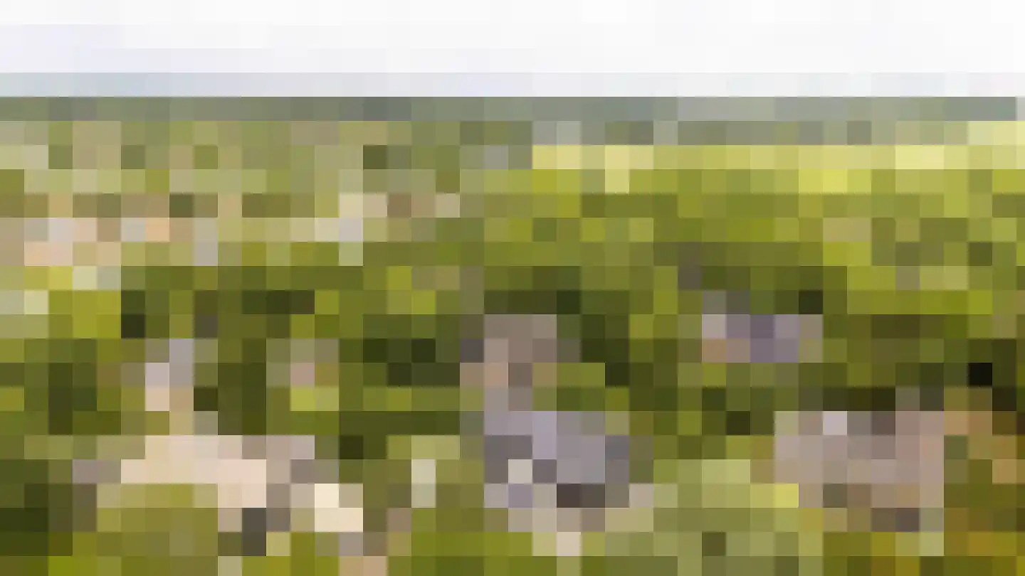 Oostersingel 4 Heiloo thumbnail 51
