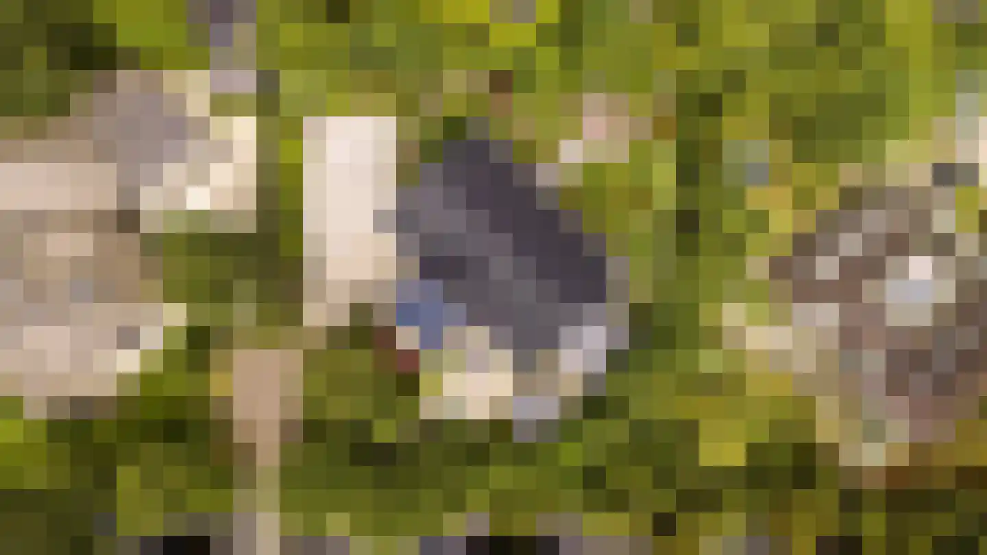 Oostersingel 4 Heiloo thumbnail 52