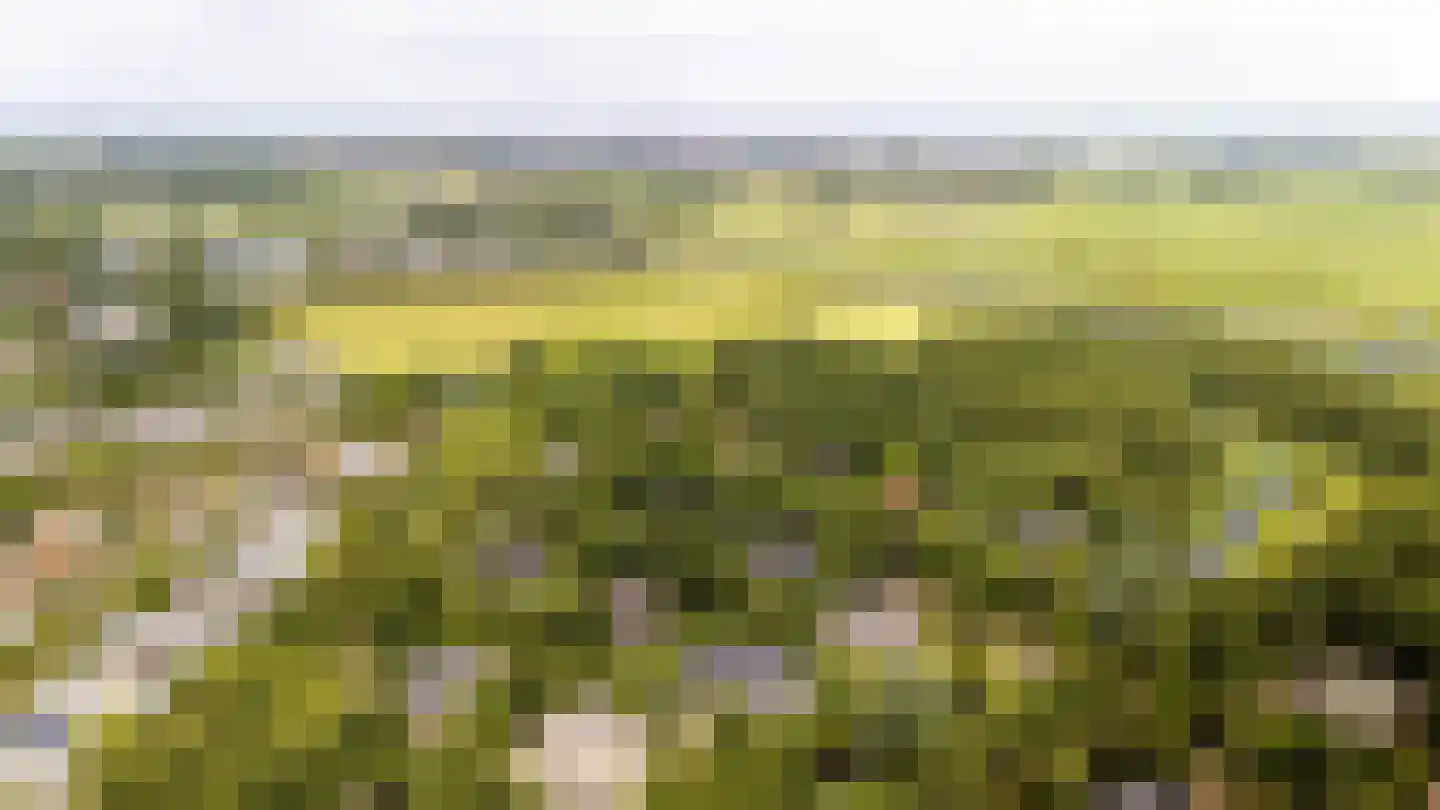 Oostersingel 4 Heiloo thumbnail 53