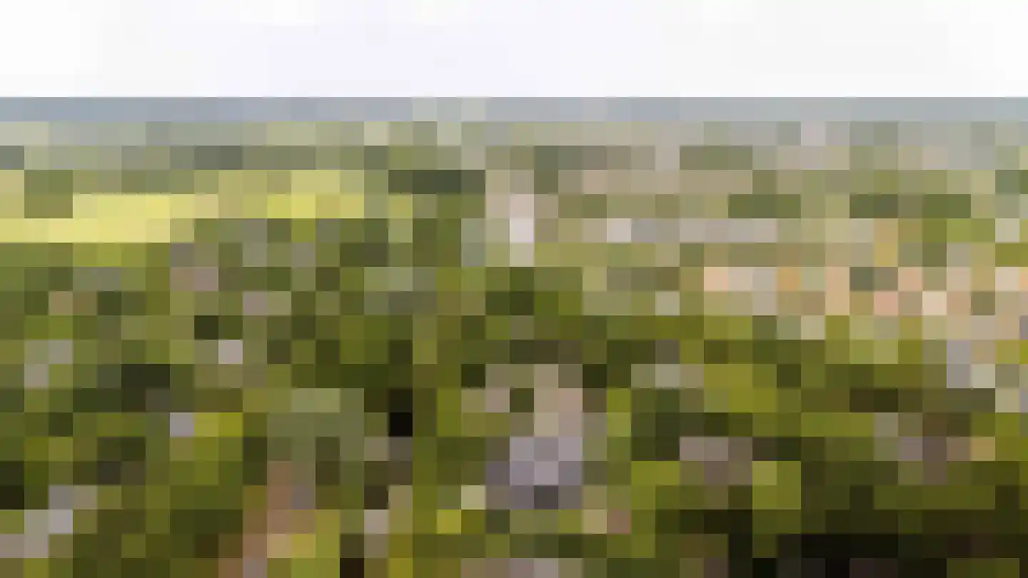 Oostersingel 4 Heiloo thumbnail 54