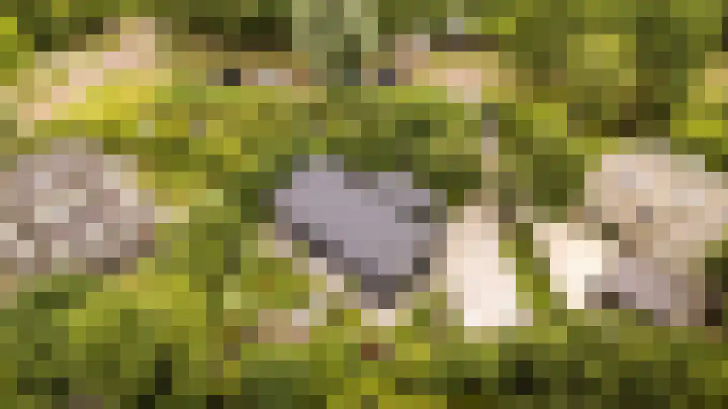 Oostersingel 4 Heiloo thumbnail 55