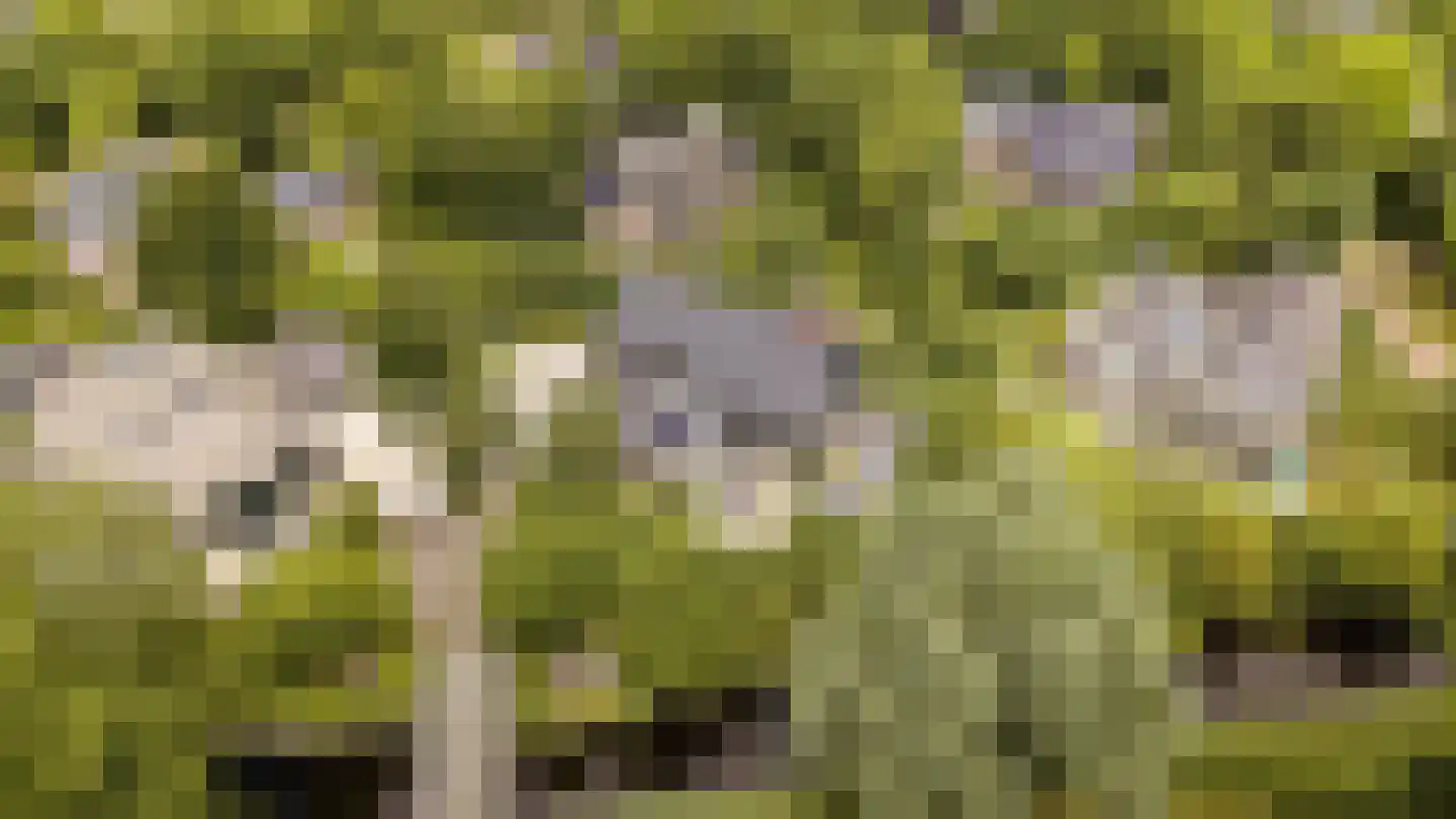 Oostersingel 4 Heiloo thumbnail 56