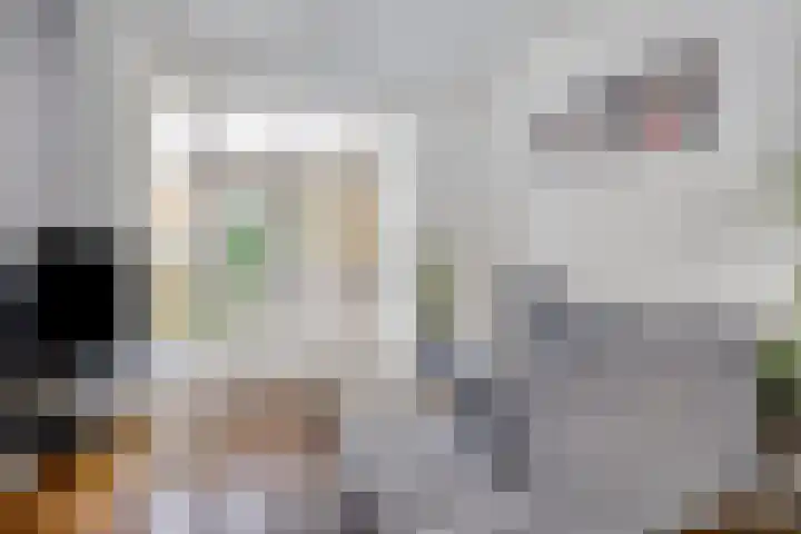 Oostersingel 48 Groningen thumbnail 11
