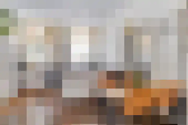 Oostersingel 48 Groningen thumbnail 14